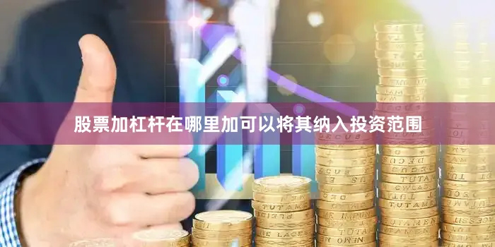 股票加杠杆在哪里加可以将其纳入投资范围
