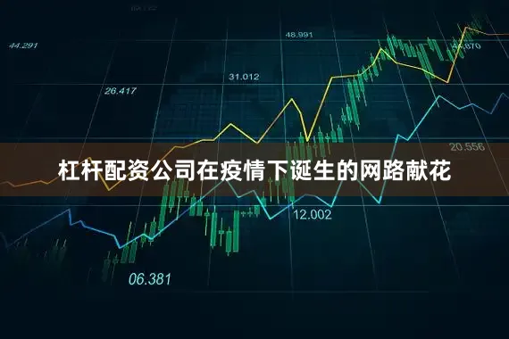 杠杆配资公司在疫情下诞生的网路献花