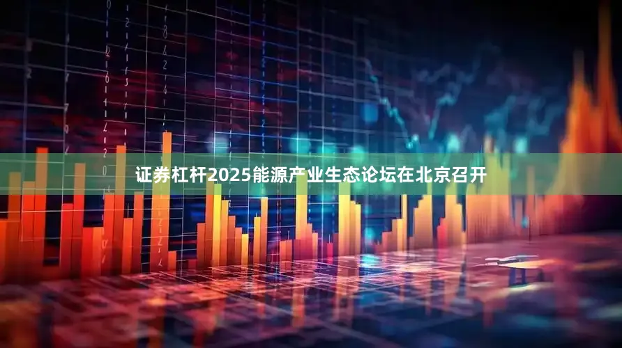 证券杠杆2025能源产业生态论坛在北京召开
