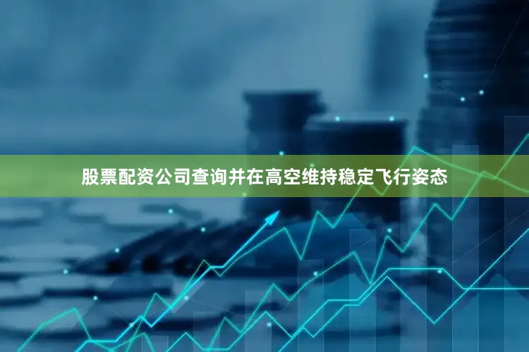 股票配资公司查询并在高空维持稳定飞行姿态