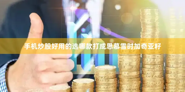 手机炒股好用的选哪款打成思慕雪时加奇亚籽
