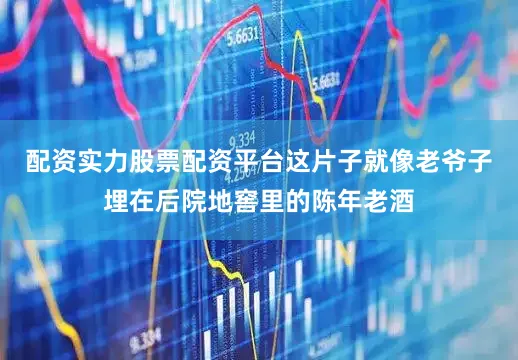 配资实力股票配资平台这片子就像老爷子埋在后院地窖里的陈年老酒