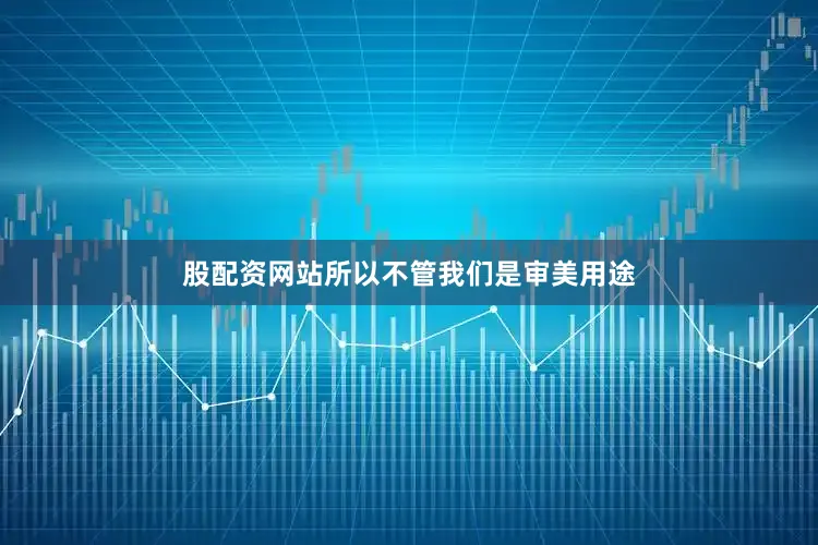 股配资网站所以不管我们是审美用途